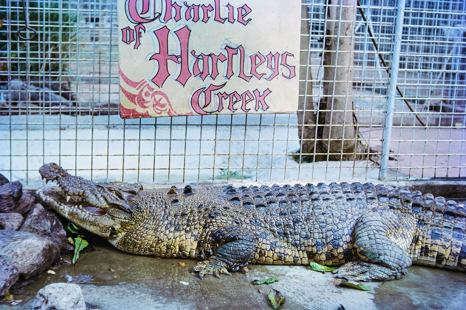 Hartley's 鱷魚探險樂園