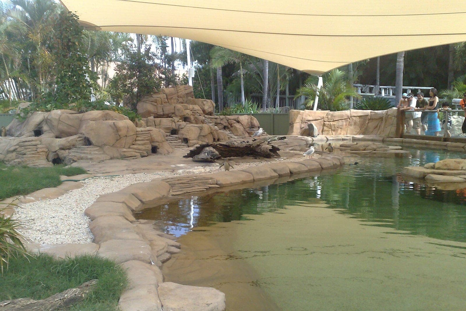 Sea World Gold Coast 黃金海岸海洋世界