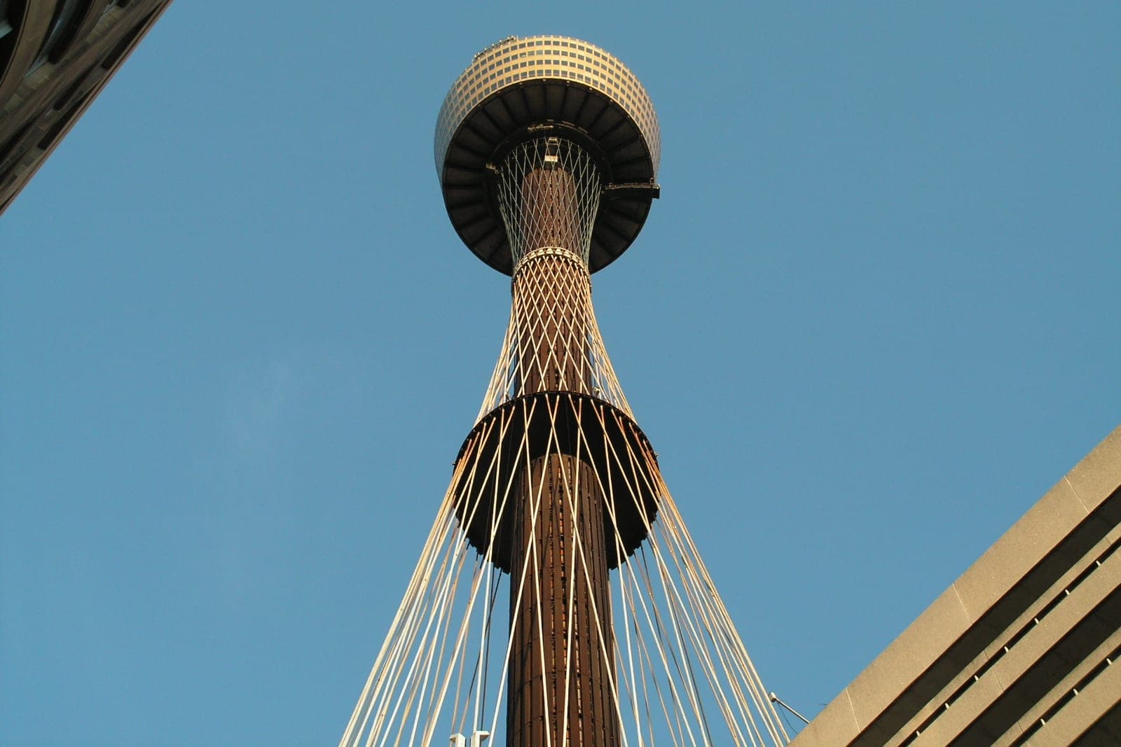 Sydney Tower Eye 觀景塔